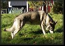 80 Hoest-Herbst-Autumn 07 * 3100 x 2156 * (4.81MB)
